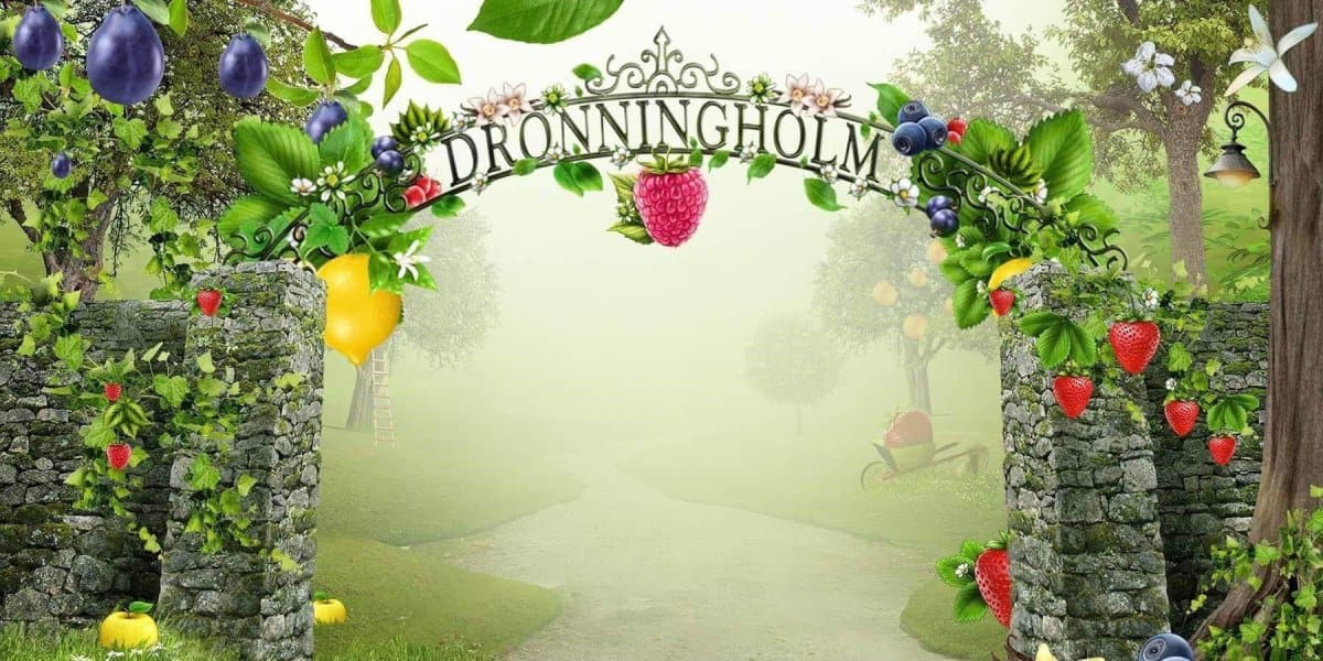 Dronningholm Apple Cinnamon Marmalade 300g - Scandinavian Goods