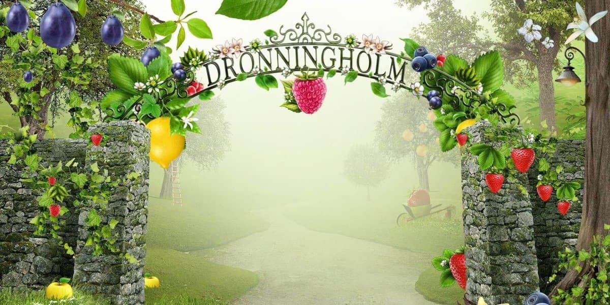 Dronningholm Orange Marmalade 330g, 8-Pack - Scandinavian Goods