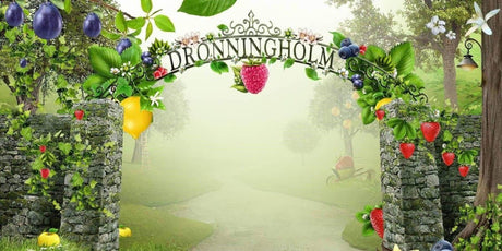 Dronningholm Raspberry Blueberry Jam 440g - Scandinavian Goods